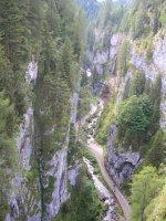 DSCN1790.jpg