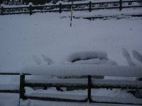 PICT0117xxx.JPG