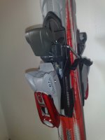 30102008266.jpg