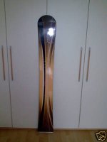 5950_1.jpg