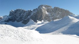 IMG_0442.JPG