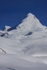 2008_11_09_1701web.jpg