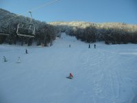 IMG_2082.jpg