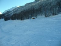 IMG_2084.jpg