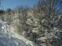 IMG_2086.jpg