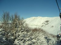 IMG_2087.jpg