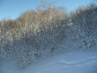 IMG_2088.jpg