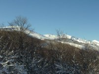 IMG_2089.jpg