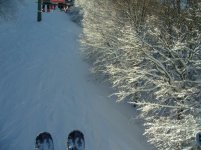 IMG_2091.jpg