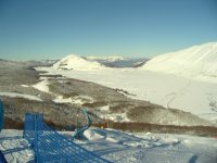 IMG_2093.jpg