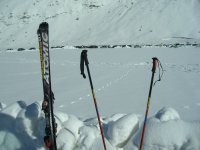 IMG_2097.jpg