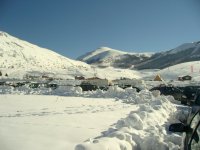 IMG_2100.jpg
