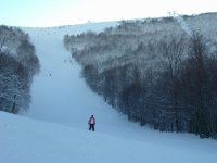 IMG_2107.jpg