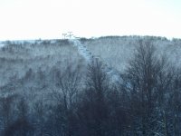 IMG_2108.jpg