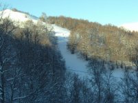 IMG_2111.jpg