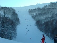 IMG_2112.jpg