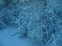 IMG_2113.jpg