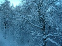 IMG_2114.jpg