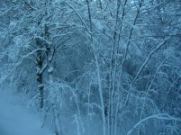 IMG_2115.jpg