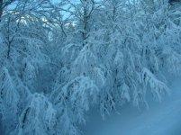 IMG_2116.jpg