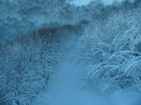 IMG_2119.jpg
