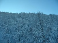 IMG_2120.jpg