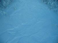IMG_2121.jpg