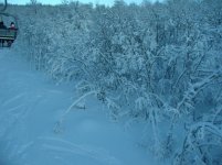IMG_2122.jpg