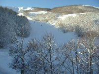 IMG_2139.jpg