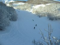 IMG_2140.jpg