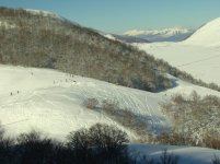 IMG_2148.jpg