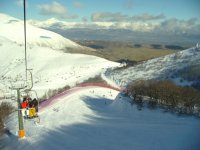 IMG_2155.jpg