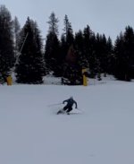 IMG_8083.jpeg