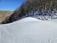 20241217_133043.jpg