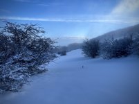 IMG_8783.jpeg