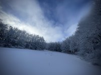 IMG_8787.jpeg