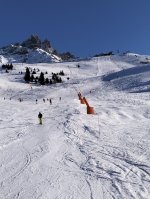 IMG20241228123225.jpg