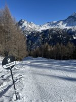 IMG_7371.jpeg