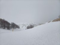 IMG20250129135713.jpg