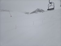 IMG20250129141416.jpg