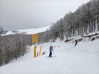 IMG20250129154200.jpg
