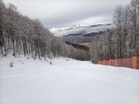 IMG20250129154455.jpg