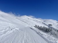IMG_4432.jpeg