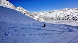 IMG_7142.jpeg
