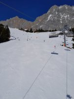 20250218_124209.jpg