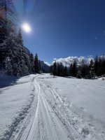 IMG_9518.jpeg