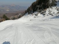 IMG_20250307_125231.jpg