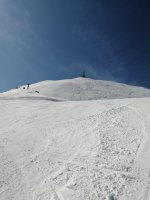 IMG_20250307_111837.jpg