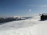 IMG_20250307_111724.jpg