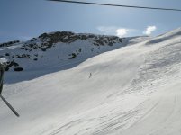 IMG_20250307_111413.jpg
